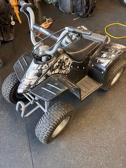 Razor 24V Quad