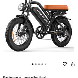 Electric bike