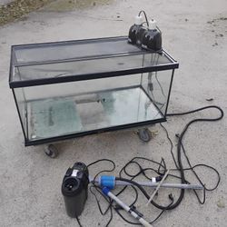 40 Gallon Turtle Aquarium 