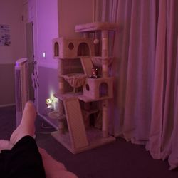 Cat Tree 