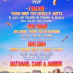Baja Fest 2025