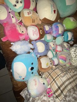 Squich Mallows