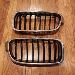 BMW 3 Series F30 Kidney Grills