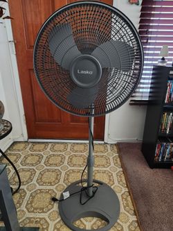 Fan