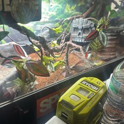 Reptile Tank And Accessories
