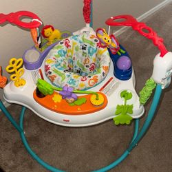Baby Bouncer 