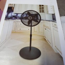 Fan 