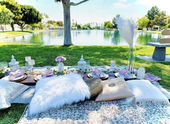 Luxury Picnic 