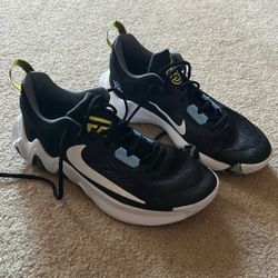 Giannis Nike Basketball Shoes Mens Size 11