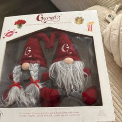 Gnoments Kit with two loving Gnomes