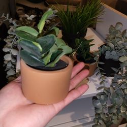 Fake Plant Ring Holder Decor