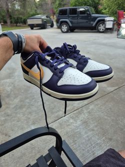Brand New Nike Dunks Low Profile Size 10.5 Men