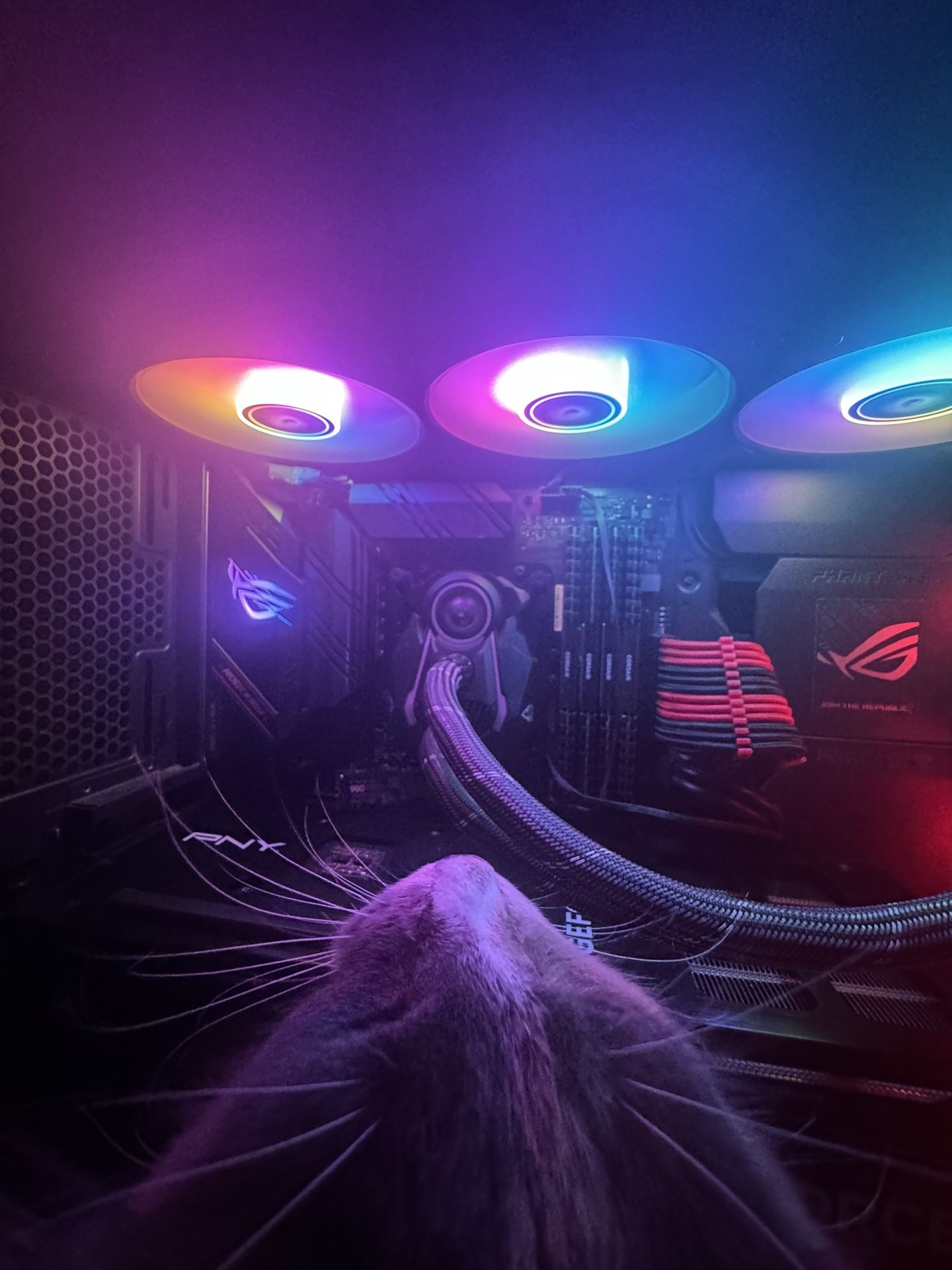 4080 PNY