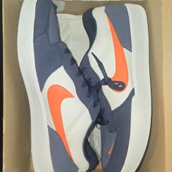 NEW!! Nike SB Custom Color Way Size 13