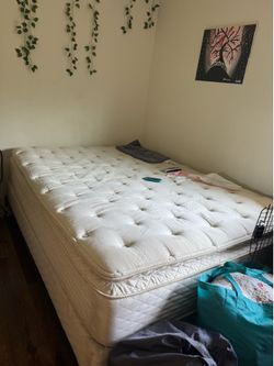 Queen Bed