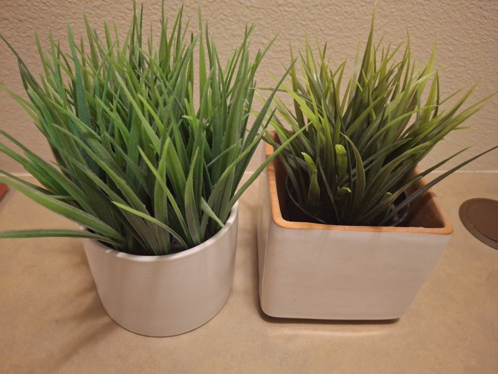 2 Cute Fake Plants