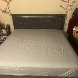 Bed Frame 