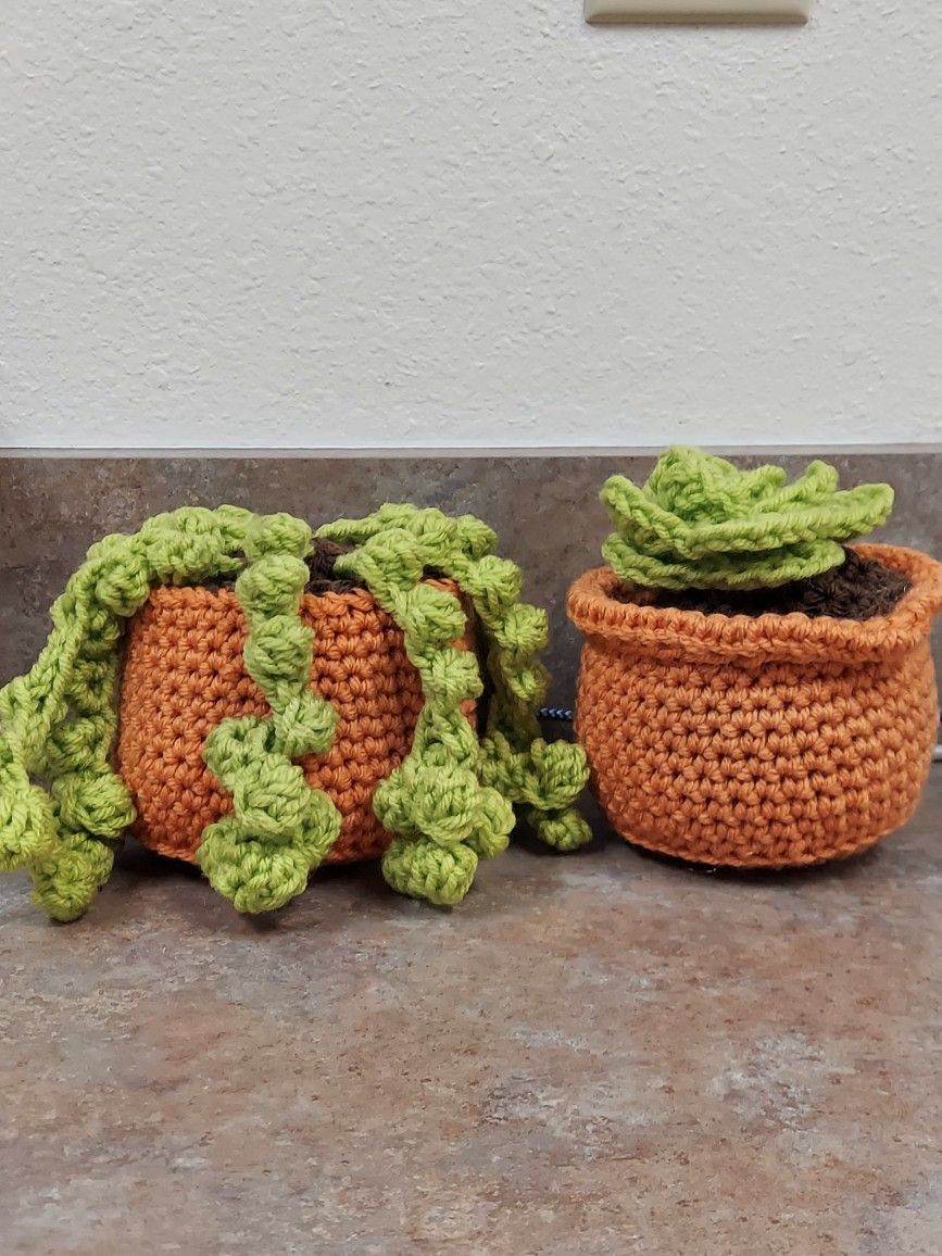Potted Plants