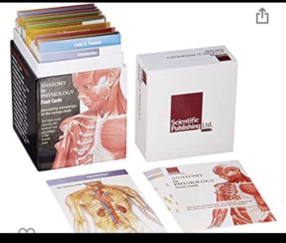 Anatomy flash cards