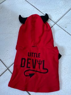 Small Dog Costume