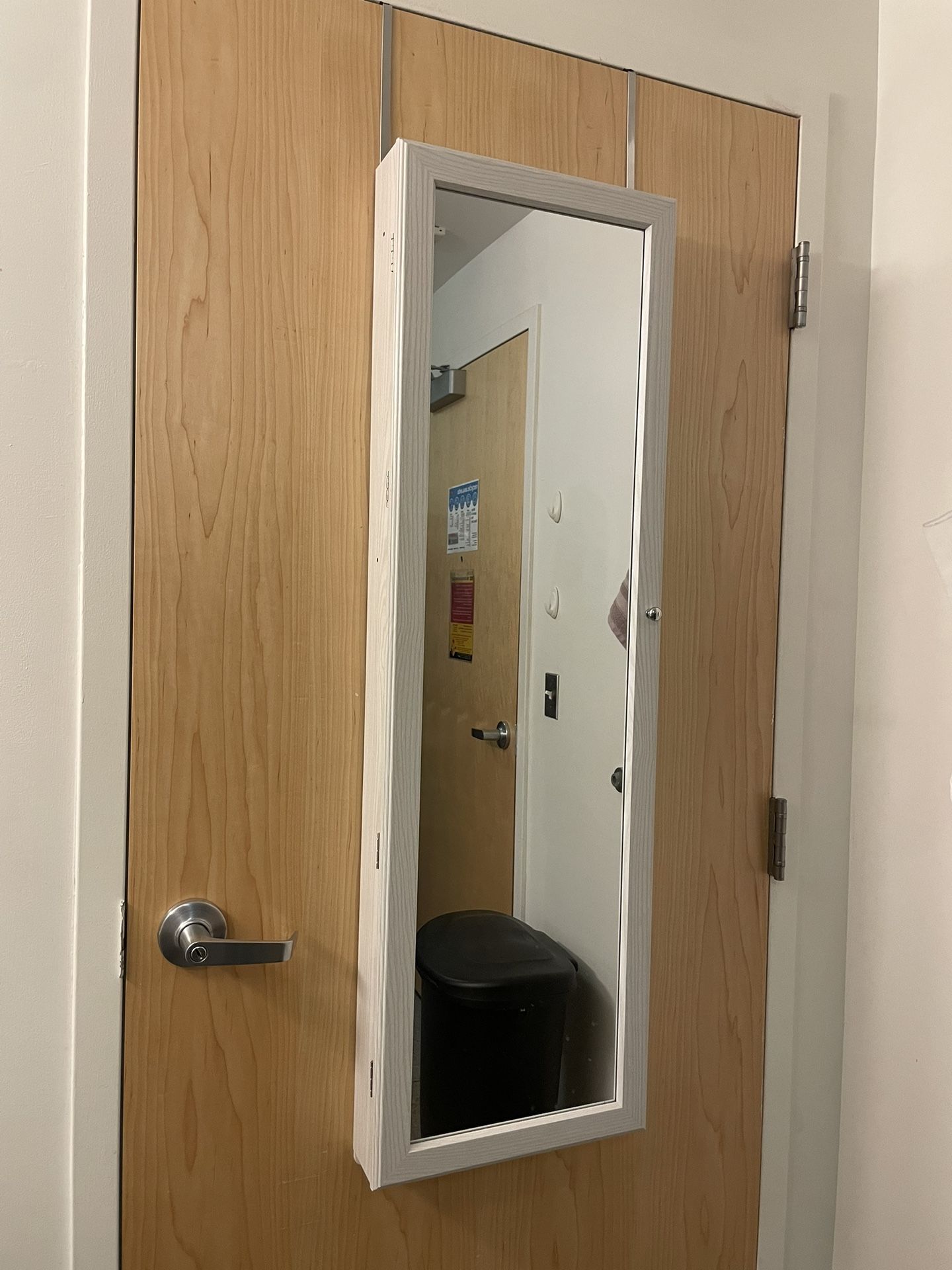 Door Mirror Storage