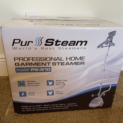 Professional Steamer 
