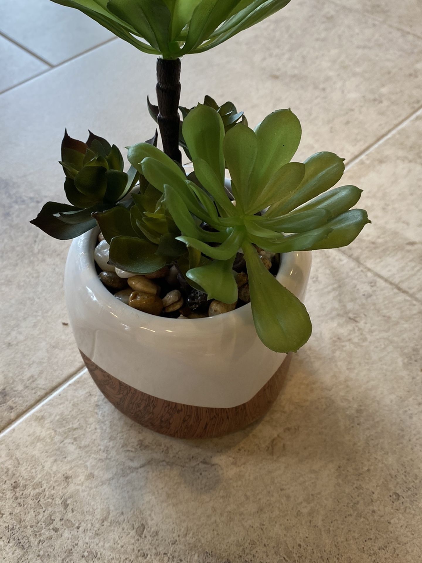 Plant Decor - 10” Tall - Fake Succulent