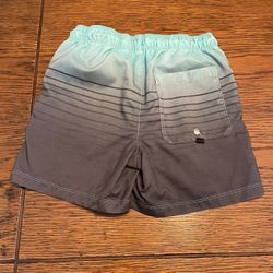 Art Class Swim Trunks