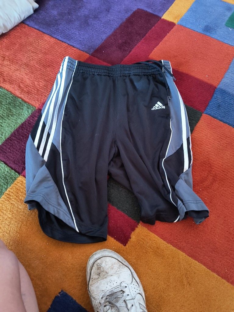 Adidas Sports Shorts