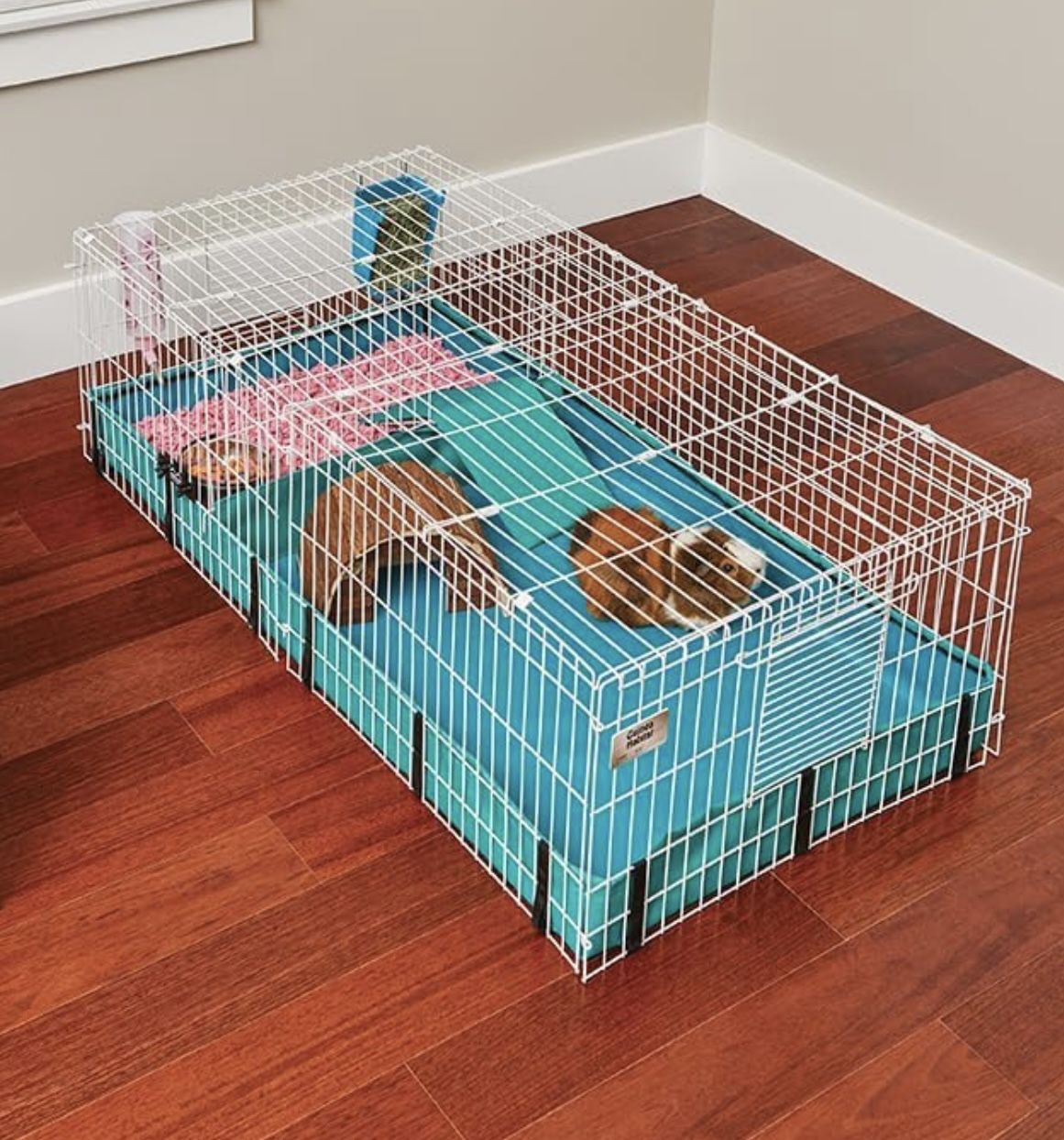MidWest Homes For Pets Guinea Habitat Plus with 8 sq. ft. Living Area, Ramp and Divider
