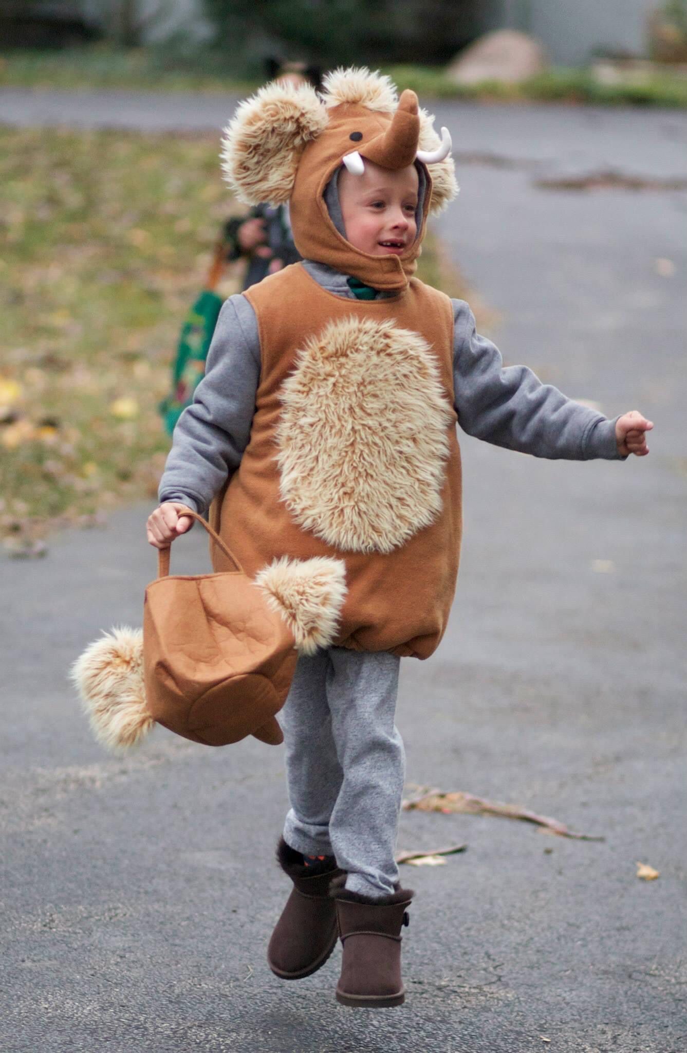 Pottery Barn Kids Halloween 🎃 Costume Size 7/8