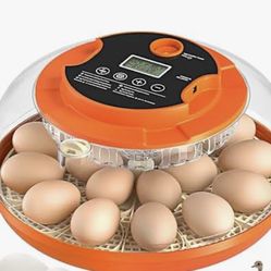 Automatic Egg Incubator Humidity Control Temperature Regulation W/ 360° Viewing