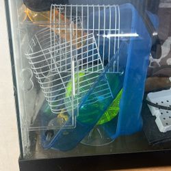 Dwarf Hamster Cage With Wheel Two Floor 