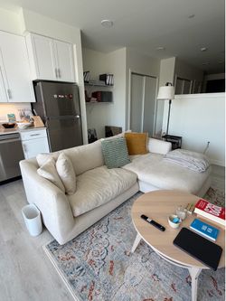 Fluffy Sectional Couch