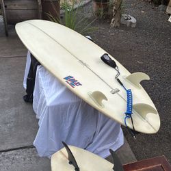 Surfboard Shorty