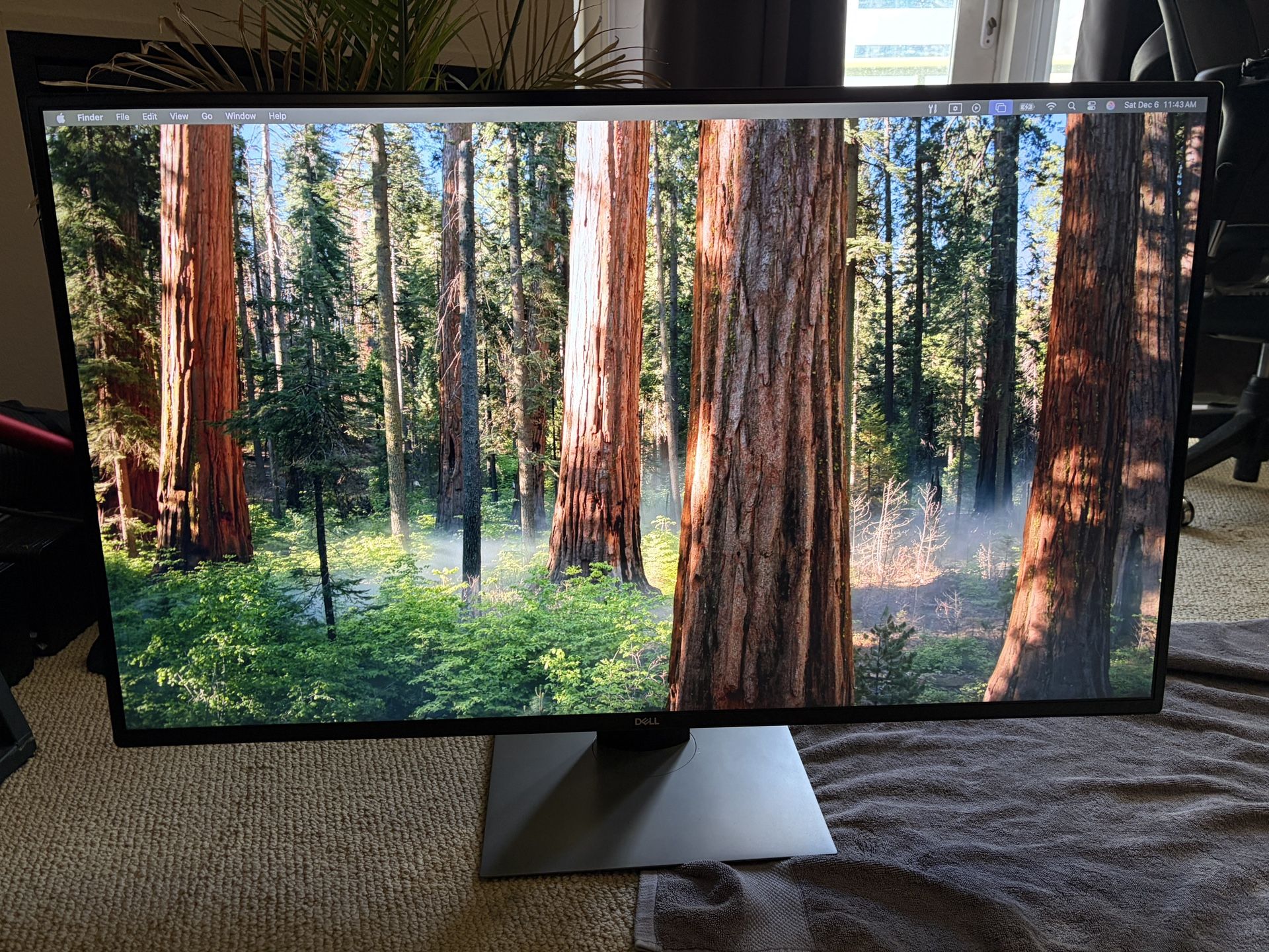 Dell UltraSharp U4320Q 43" 4K Monitor – $350 San Diego (92101)