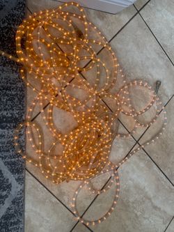 Free with a Purchase (3) 16 ft each Warm White LED Outdoor/Indoor Rope  Lights