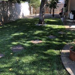 New Sod