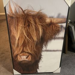 Modern Farmhouse Decor – Highland Cow Canvas 24x36