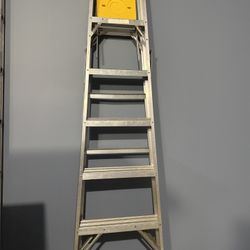 Werner Aluminum Ladder 