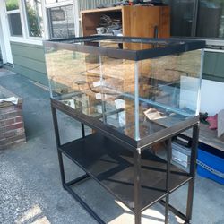 Fish Tank  Aquarium
