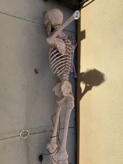Giant Skeleton