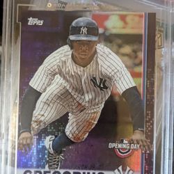 Graded Trading Card Lot!