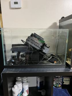 10 Gallons Fish tank