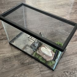 Fish Turtle Lizard Tank