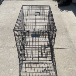 top paw folding double door crate