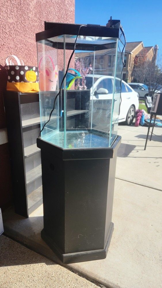 60 Gallon Fish Tank