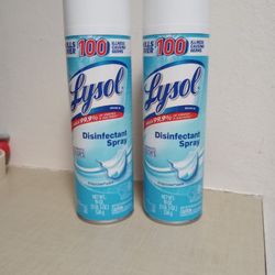 Lysol 19 OZ Each 