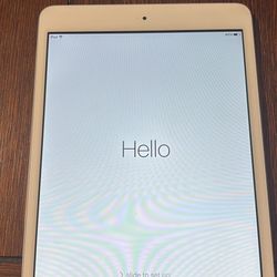 iPad Mini 