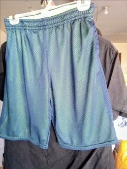 Newer Blue with neon green insert Jersey shorts
